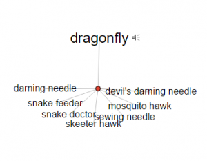 Visual Thesaurus definitions for "dragonfly"